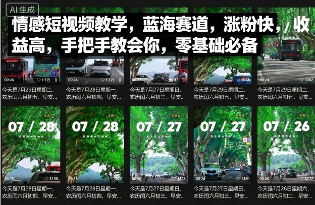 情感短视频教学，蓝海赛道，涨粉快，收益高，手把手教会你，零基础必备-LH资源分享网
