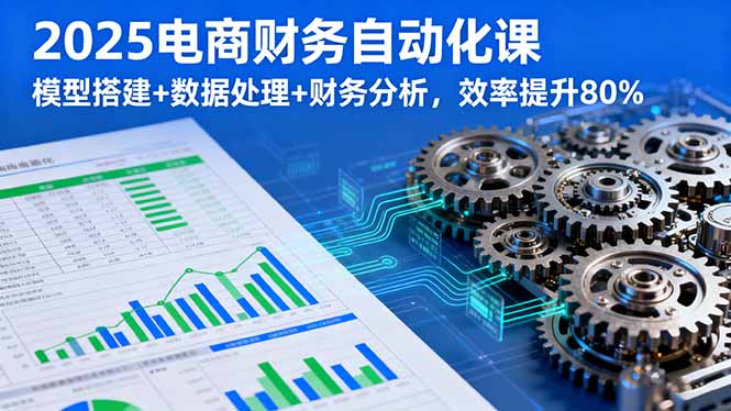 2025电商财务自动化课，模型搭建+数据处理+财务分析，效率提升80%-LH资源分享网