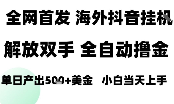 海外抖音无人直播，单日产出1.5k+，长期稳定，新手可玩，无脑操作【揭秘】-LH资源分享网