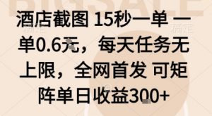 酒店截图15秒一单，一单0.6米，每天任务无上限，全网首发可矩阵单日收益3张【揭秘】-LH资源分享网