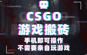 CSGO游戏挂机捡漏,单日扫货500+,年底小高峰上车可吃肉,手机即可操作…-LH资源分享网