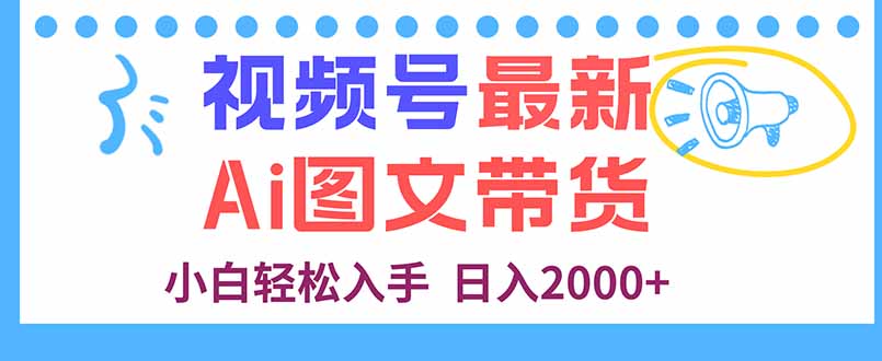 视频号最新AI图文带货，每天几分钟，小白轻松入手，日入2000+-LH资源分享网