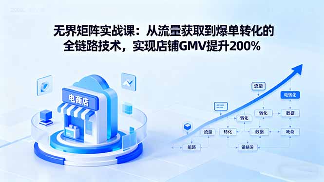 无界矩阵实战课：从流量获取到爆单转化的全链路技术，实现店铺GMV提升200%-LH资源分享网