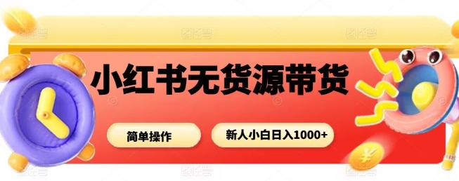 小红书无货源带货项目，简单无脑，新人小白日入多张-LH资源分享网