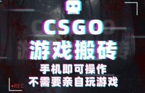CSGO游戏挂G捡漏,单日扫货5张+,年底小高峰上车可吃肉,手机即可操作,兼职副业创业网创【揭秘】-LH资源分享网