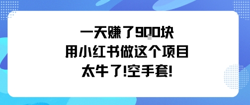 一天挣了9张用小红书做这个项目太牛了，空手套-LH资源分享网