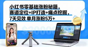 小红书零基础涨粉秘籍，赛道定位+IP打造+痛点挖掘，7天见效 单月涨粉5万+-LH资源分享网