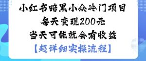 小红书暗黑小众冷门项目每天变现2张当天可能就会有收益-LH资源分享网