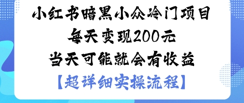 小红书暗黑小众冷门项目每天变现2张当天可能就会有收益-LH资源分享网