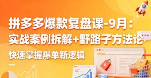 拼多多爆款复盘课-9月:实战案例拆解+野路子方法论,快速掌握爆单新逻辑-LH资源分享网
