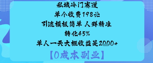 私域冷门赛道:单个收费198米引流模板简单人群精准转化45%单人一天大概收益是1k+-LH资源分享网