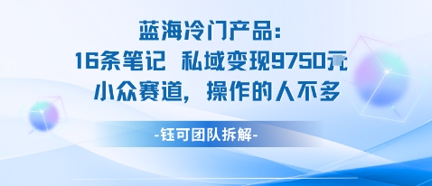 蓝海项目：16条笔记私域变现9750米小众赛道操作的人不多-LH资源分享网