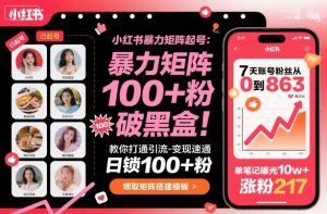 小红书暴力矩阵起号，教你打通引流-变现速通，日锁100+粉，破流量黑盒-LH资源分享网