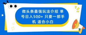 微头条最强玩法介绍一个号日入5张+只要一部手机适合小白-LH资源分享网