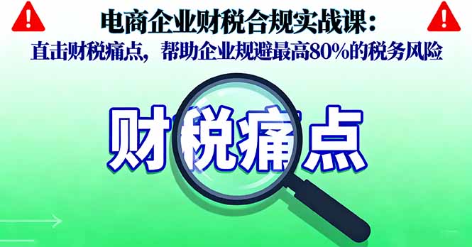 电商企业财税合规实战课，直击财税痛点，帮助企业规避最高80%的税务风险-LH资源分享网