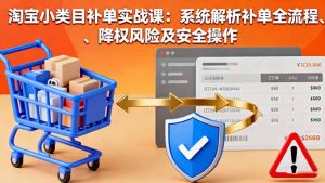 淘宝小类目补单实战课：系统解析补单全流程、降权风险及安全操作-LH资源分享网