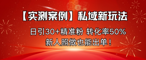 【实测案例】私域新玩法，日引30+精准粉，转化率50%，新人照做也能出单！-LH资源分享网