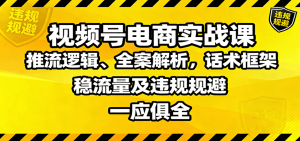 视频号电商实战课：推流逻辑、全案解析，话术框架，稳流量及违规规避等-LH资源分享网