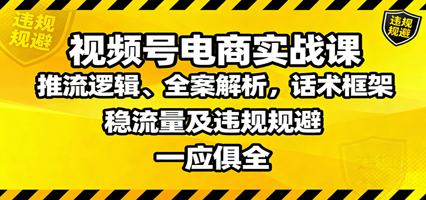 视频号电商实战课：推流逻辑、全案解析，话术框架，稳流量及违规规避等-LH资源分享网