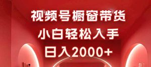 视频号橱窗带货，小白轻松入手，日入2000+-LH资源分享网