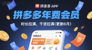 拼多多年费会员,实经验分享操,时长拉满,干货拉满(更新10月)-LH资源分享网