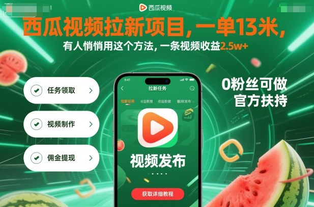 西瓜视频拉新项目，一单13米，有人悄悄用这个方法，一条视频收益2.5w+(附详细教程)-LH资源分享网