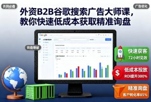 外资B2B谷歌搜索广告大师课，教你快速低成本获取精准询盘-LH资源分享网