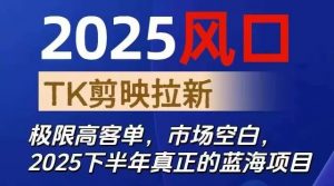 2025风口TK剪映capcut拉新项目，极限高客单，市场空白，2025下半年真正的蓝海项目-LH资源分享网