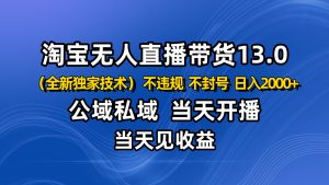 淘宝无人直播13.0，公域私域技术，不封号，不违规 布局下半年旺季赛道，日入2000+-LH资源分享网