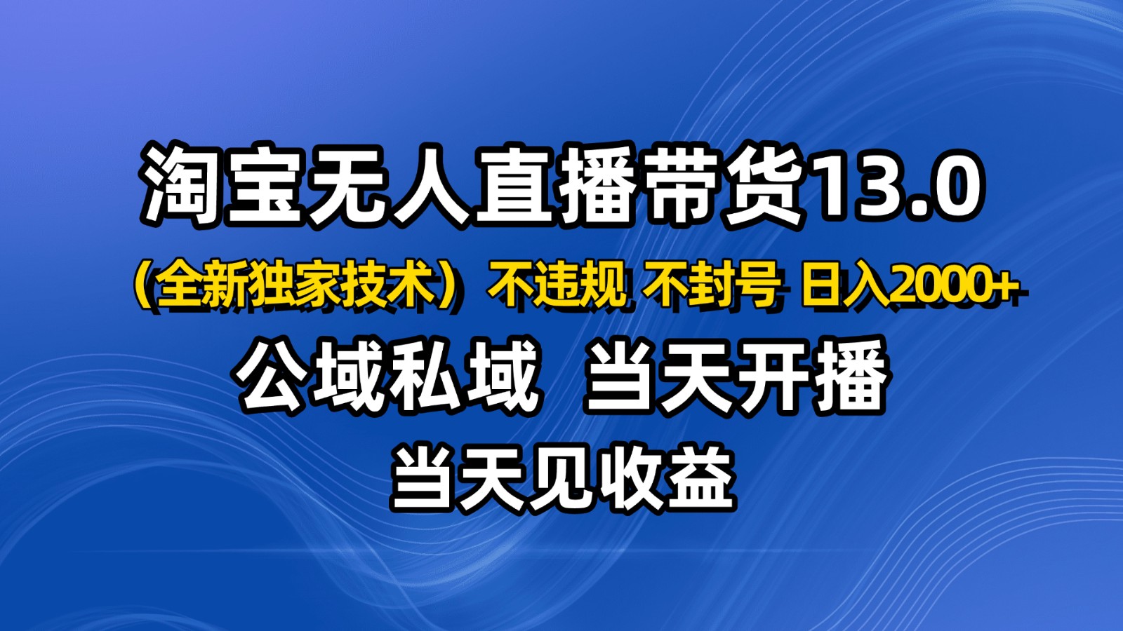 淘宝无人直播13.0，公域私域技术，不封号，不违规 布局下半年旺季赛道，日入2000+-LH资源分享网