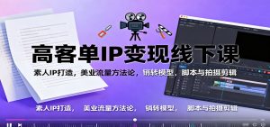 高客单IP变现线下大课:素人IP打造,美业流量方法论,销转模型,脚本与拍摄剪辑-LH资源分享网