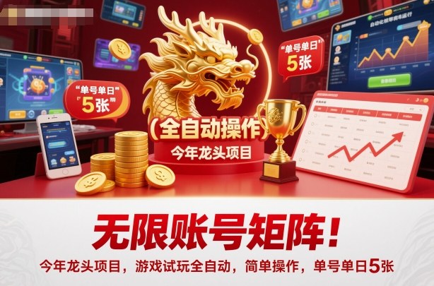 无限账号矩阵！今年龙头项目，游戏试玩全自动，简单操作，单号单日5张【揭秘】-LH资源分享网