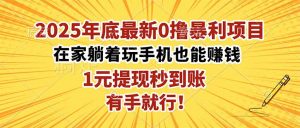 2025年底最新0撸暴利项目,在家也能躺赚,1元秒提现,有手就行!-LH资源分享网