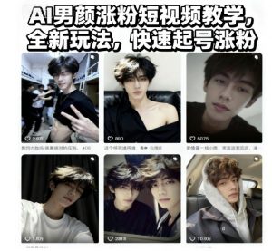 AI男颜涨粉短视频教学，全新玩法，快速起号涨粉-LH资源分享网