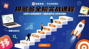 拼多多全阶实战课程，从新手小白到运营高手，海量实战玩法+全年实时更新【2025年10月更新】-LH资源分享网