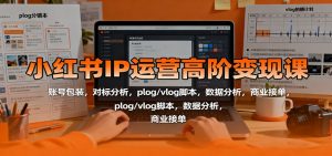 小红书IP运营高阶变现课:账号包装,对标分析,plog/vlog脚本,数据分析,商业接单-LH资源分享网
