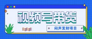 微信视频号带货项目,轻松日赚赚2000+,这个挣钱入口很多伙伴都在闷声发财-LH资源分享网