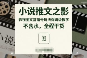 小说推文之影视图文营销号玩法保姆级教学，不含水，全程干货-LH资源分享网