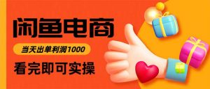 闲鱼高利润电商，当天上架当天出单，一单利润300-LH资源分享网