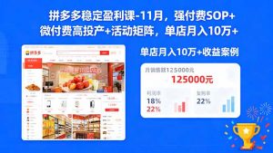 拼多多稳定盈利课-11月，强付费SOP+微付费高投产+活动矩阵，单店月入10万+-LH资源分享网