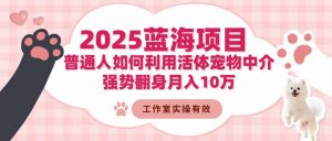 2025蓝海项目：普通人如何利用活体宠物中介，强势翻身月入10万-LH资源分享网