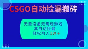 CSGO自动捡漏搬砖，当天操作当天见结果，无需了解游戏，包教包会包落地-LH资源分享网