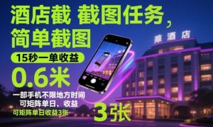 酒店截图任务，简单截图，15秒一单收益0.6米，一部手机不限地方时间，可矩阵单日收益3张【揭秘】-LH资源分享网