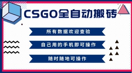 CSGO全自动搬砖，年底钱回家好项目，当天可拿到结果，新手小白轻松月入1W+【揭秘】-LH资源分享网