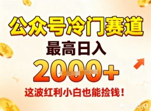 公众号冷门赛道，最高日入1k+，这波红利小白也能捡钱！-LH资源分享网