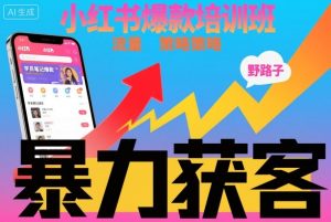小红书爆款培训班，小红书获客野路子流量打法，暴力持续获客-LH资源分享网