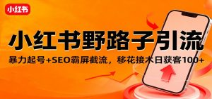 小红书野路子引流，暴力起号+SEO霸屏截流，移花接木日获客100+-LH资源分享网