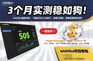 3个月实测稳如狗!wishlba最新项目,一键运行日入50美刀,单窗口躺挣,保姆级教程全给你【揭秘】-LH资源分享网