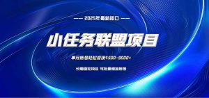 小任务联盟项目：一台电脑每天只需10分钟，轻松简单稳定-LH资源分享网
