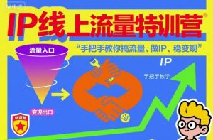 IP线上流量特训营，手把手教你搞流量、做IP、稳变现-LH资源分享网